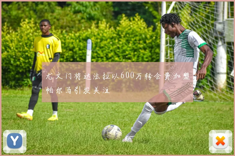 尤文门将达法拉以600万转会费加盟帕尔马引发关注